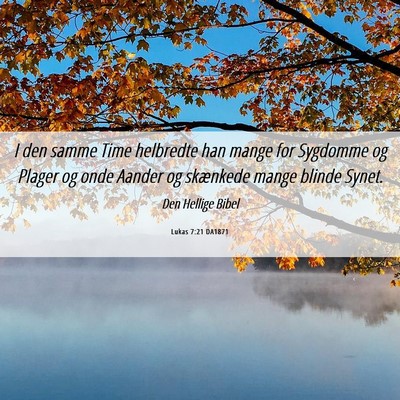 Picture 06 - Lukas 7:21 DA1871 - I den samme Time helbredte han mange for Sygdomme - Bible Verse Picture