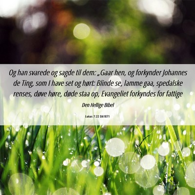 Picture 06 - Lukas 7:22 DA1871 - Og han svarede og sagde til dem: „Gaar hen, og - Bible Verse Picture