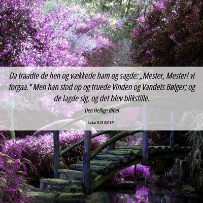 Picture 06 - Lukas 8:24 DA1871 - Da traadte de hen og vækkede ham og sagde: - Bible Verse Picture