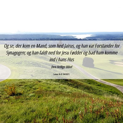 Picture 06 - Lukas 8:41 DA1871 - Og se, der kom en Mand, som hed Jairus, og han - Bible Verse Picture