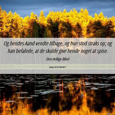 Picture 06 - Lukas 8:55 DA1871 - Og hendes Aand vendte tilbage, og hun stod straks - Bible Verse Picture