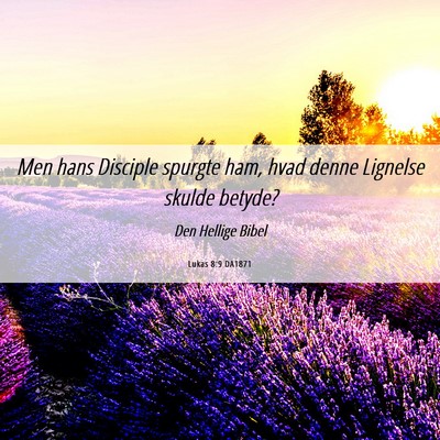 Picture 06 - Lukas 8:9 DA1871 - Men hans Disciple spurgte ham, hvad denne - Bible Verse Picture