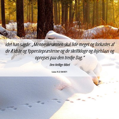 Picture 06 - Lukas 9:22 DA1871 - idet han sagde: „Menneskesønnen skal lide - Bible Verse Picture