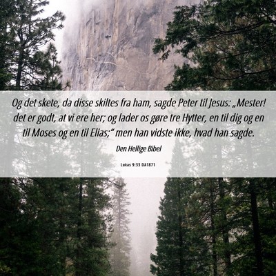 Picture 06 - Lukas 9:33 DA1871 - Og det skete, da disse skiltes fra ham, sagde - Bible Verse Picture