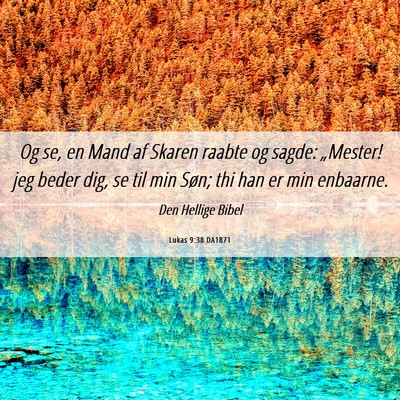 Picture 06 - Lukas 9:38 DA1871 - Og se, en Mand af Skaren raabte og sagde: - Bible Verse Picture