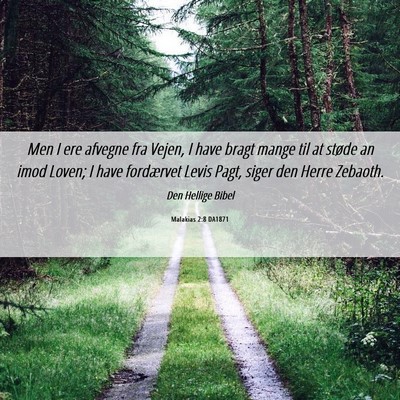 Picture 06 - Malakias 2:8 DA1871 - Men I ere afvegne fra Vejen, I have bragt mange - Bible Verse Picture