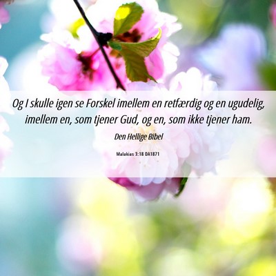 Picture 06 - Malakias 3:18 DA1871 - Og I skulle igen se Forskel imellem en retfærdig - Bible Verse Picture