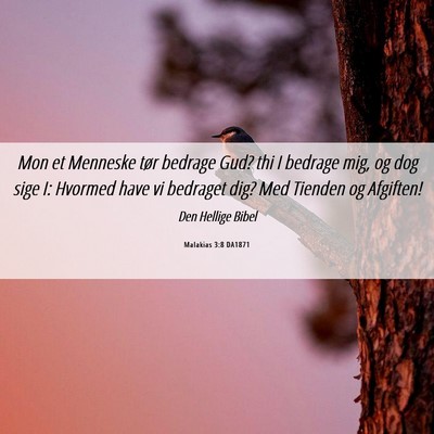 Picture 06 - Malakias 3:8 DA1871 - Mon et Menneske tør bedrage Gud? thi I bedrage - Bible Verse Picture