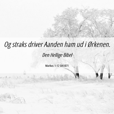 Picture 06 - Markus 1:12 DA1871 - Og straks driver Aanden ham ud i - Bible Verse Picture