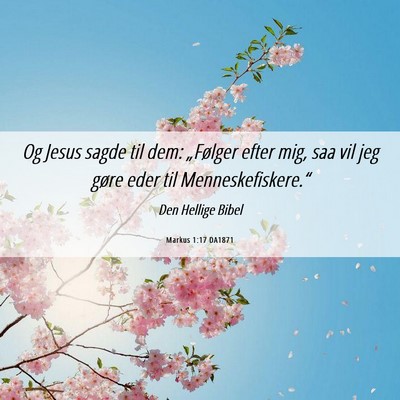 Picture 06 - Markus 1:17 DA1871 - Og Jesus sagde til dem: „Følger efter mig, saa - Bible Verse Picture