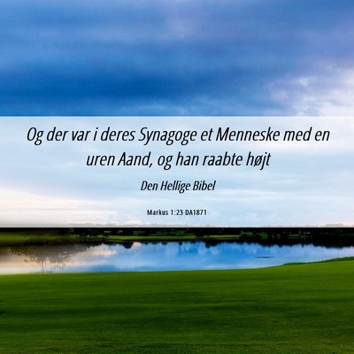Picture 06 - Markus 1:23 DA1871 - Og der var i deres Synagoge et Menneske med en - Bible Verse Picture