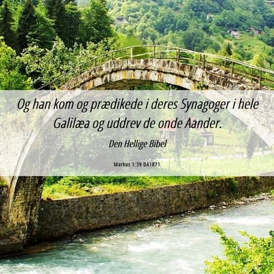Picture 06 - Markus 1:39 DA1871 - Og han kom og prædikede i deres Synagoger i hele - Bible Verse Picture