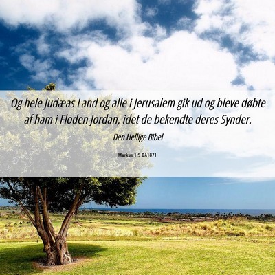 Picture 06 - Markus 1:5 DA1871 - Og hele Judæas Land og alle i Jerusalem gik ud - Bible Verse Picture