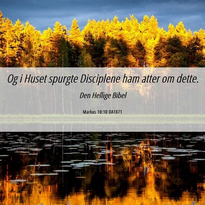 Picture 06 - Markus 10:10 DA1871 - Og i Huset spurgte Disciplene ham atter om - Bible Verse Picture