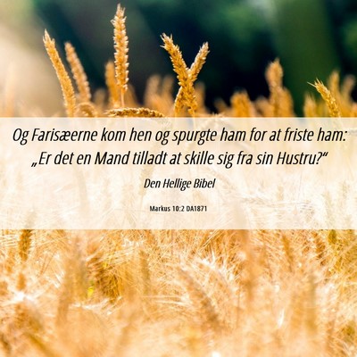 Picture 06 - Markus 10:2 DA1871 - Og Farisæerne kom hen og spurgte ham for at - Bible Verse Picture