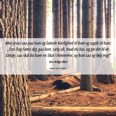 Picture 06 - Markus 10:21 DA1871 - Men Jesus saa paa ham og fattede Kærlighed til - Bible Verse Picture