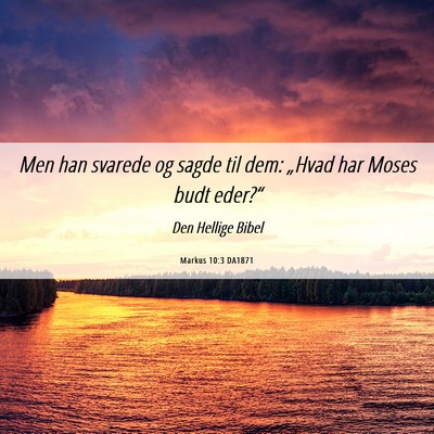 Picture 06 - Markus 10:3 DA1871 - Men han svarede og sagde til dem: „Hvad har - Bible Verse Picture