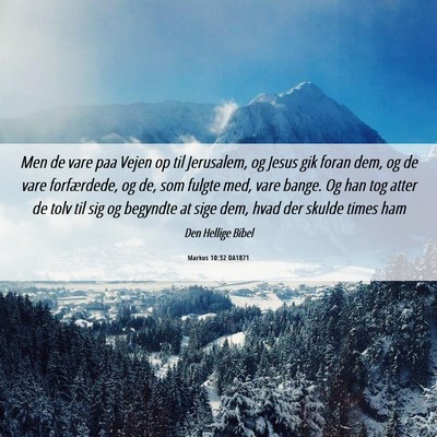 Picture 06 - Markus 10:32 DA1871 - Men de vare paa Vejen op til Jerusalem, og Jesus - Bible Verse Picture