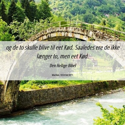 Picture 06 - Markus 10:8 DA1871 - og de to skulle blive til eet Kød. Saaledes ere - Bible Verse Picture