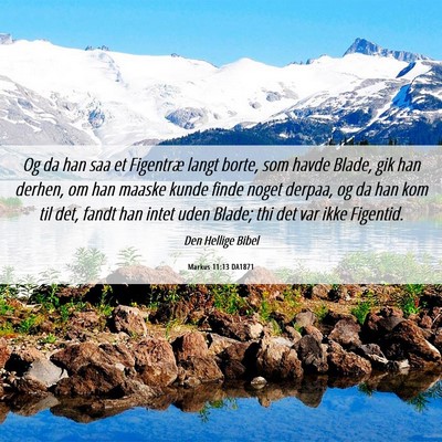 Picture 06 - Markus 11:13 DA1871 - Og da han saa et Figentræ langt borte, som havde - Bible Verse Picture