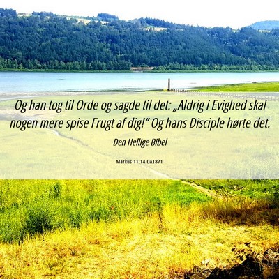 Picture 06 - Markus 11:14 DA1871 - Og han tog til Orde og sagde til det: „Aldrig i - Bible Verse Picture