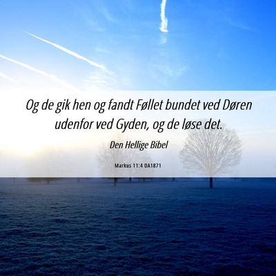 Picture 06 - Markus 11:4 DA1871 - Og de gik hen og fandt Føllet bundet ved Døren - Bible Verse Picture