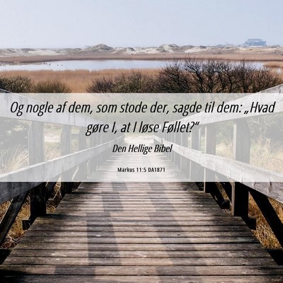 Picture 06 - Markus 11:5 DA1871 - Og nogle af dem, som stode der, sagde til dem: - Bible Verse Picture