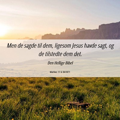 Picture 06 - Markus 11:6 DA1871 - Men de sagde til dem, ligesom Jesus havde sagt, - Bible Verse Picture