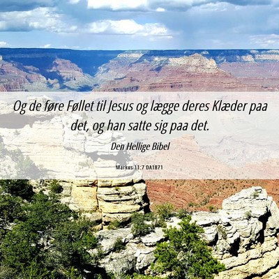 Picture 06 - Markus 11:7 DA1871 - Og de føre Føllet til Jesus og lægge deres - Bible Verse Picture