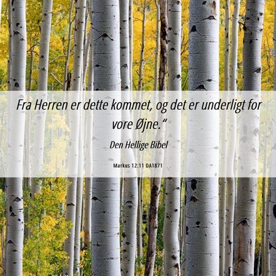 Picture 06 - Markus 12:11 DA1871 - Fra Herren er dette kommet, og det er underligt - Bible Verse Picture