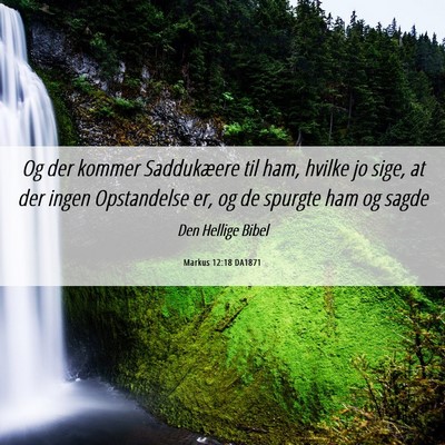 Picture 06 - Markus 12:18 DA1871 - Og der kommer Saddukæere til ham, hvilke jo - Bible Verse Picture