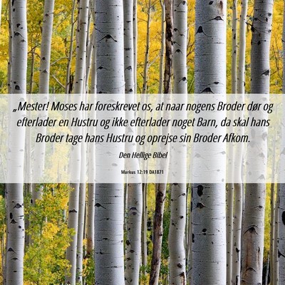 Picture 06 - Markus 12:19 DA1871 - „Mester! Moses har foreskrevet os, at naar - Bible Verse Picture