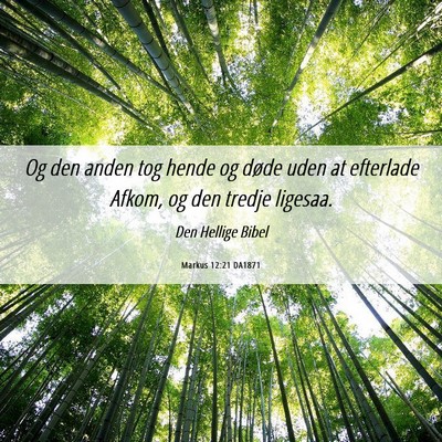 Picture 06 - Markus 12:21 DA1871 - Og den anden tog hende og døde uden at efterlade - Bible Verse Picture