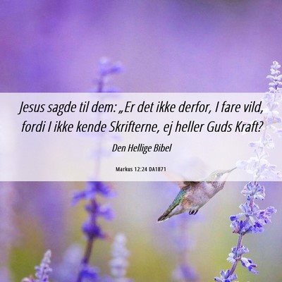 Picture 06 - Markus 12:24 DA1871 - Jesus sagde til dem: „Er det ikke derfor, I - Bible Verse Picture