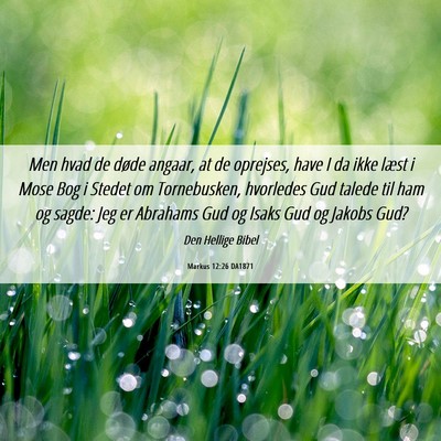 Picture 06 - Markus 12:26 DA1871 - Men hvad de døde angaar, at de oprejses, have I - Bible Verse Picture