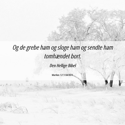 Picture 06 - Markus 12:3 DA1871 - Og de grebe ham og sloge ham og sendte ham - Bible Verse Picture