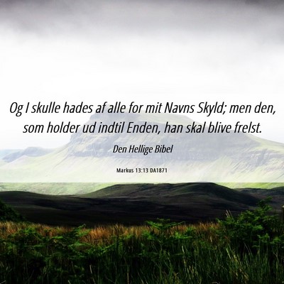 Picture 06 - Markus 13:13 DA1871 - Og I skulle hades af alle for mit Navns Skyld; - Bible Verse Picture