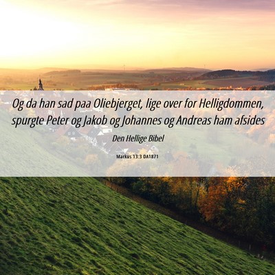 Picture 06 - Markus 13:3 DA1871 - Og da han sad paa Oliebjerget, lige over for - Bible Verse Picture
