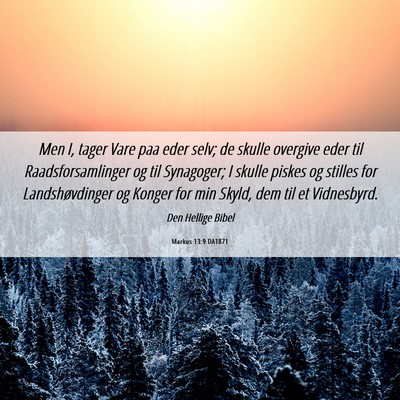 Picture 06 - Markus 13:9 DA1871 - Men I, tager Vare paa eder selv; de skulle - Bible Verse Picture