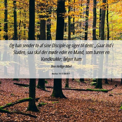 Picture 06 - Markus 14:13 DA1871 - Og han sender to af sine Disciple og siger til - Bible Verse Picture
