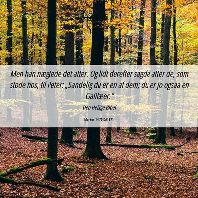 Picture 06 - Markus 14:70 DA1871 - Men han nægtede det atter. Og lidt derefter - Bible Verse Picture