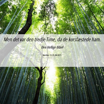 Picture 06 - Markus 15:25 DA1871 - Men det var den tredje Time, da de korsfæstede - Bible Verse Picture
