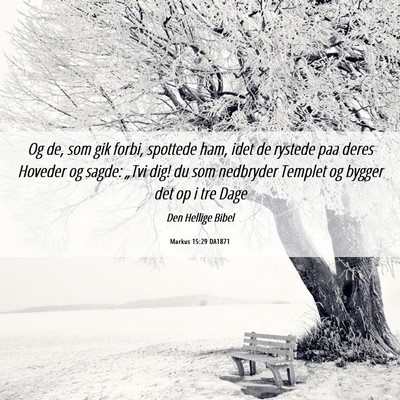 Picture 06 - Markus 15:29 DA1871 - Og de, som gik forbi, spottede ham, idet de - Bible Verse Picture