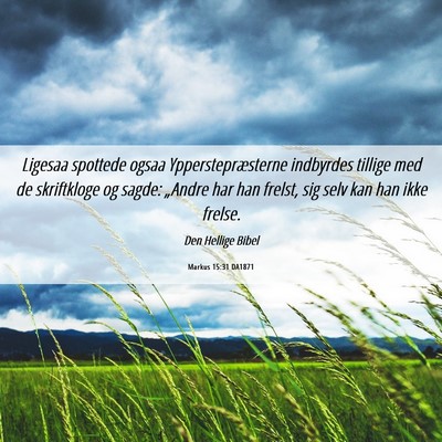 Picture 06 - Markus 15:31 DA1871 - Ligesaa spottede ogsaa Ypperstepræsterne - Bible Verse Picture