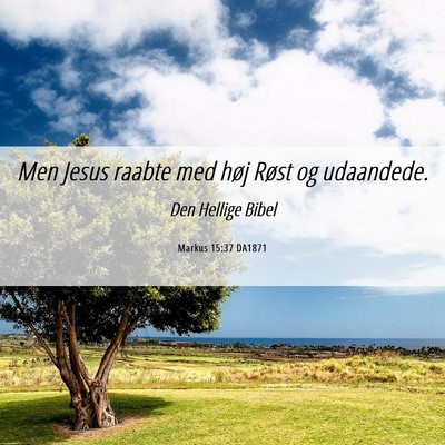Picture 06 - Markus 15:37 DA1871 - Men Jesus raabte med høj Røst og - Bible Verse Picture
