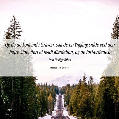 Picture 06 - Markus 16:5 DA1871 - Og da de kom ind i Graven, saa de en Yngling - Bible Verse Picture