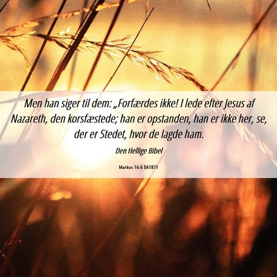 Picture 06 - Markus 16:6 DA1871 - Men han siger til dem: „Forfærdes ikke! I lede - Bible Verse Picture