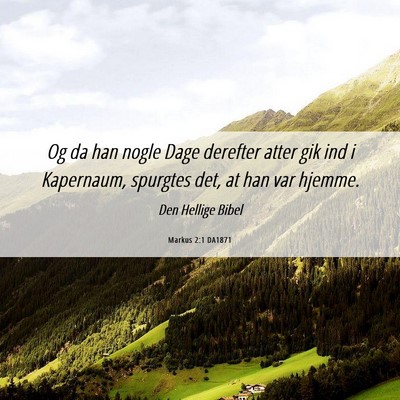 Picture 06 - Markus 2:1 DA1871 - Og da han nogle Dage derefter atter gik ind i - Bible Verse Picture