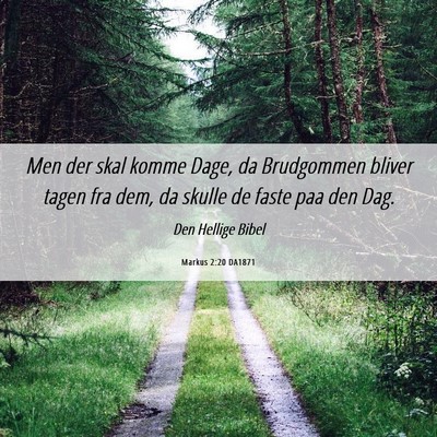 Picture 06 - Markus 2:20 DA1871 - Men der skal komme Dage, da Brudgommen bliver - Bible Verse Picture