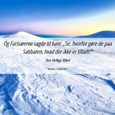 Picture 06 - Markus 2:24 DA1871 - Og Farisæerne sagde til ham: „Se, hvorfor - Bible Verse Picture